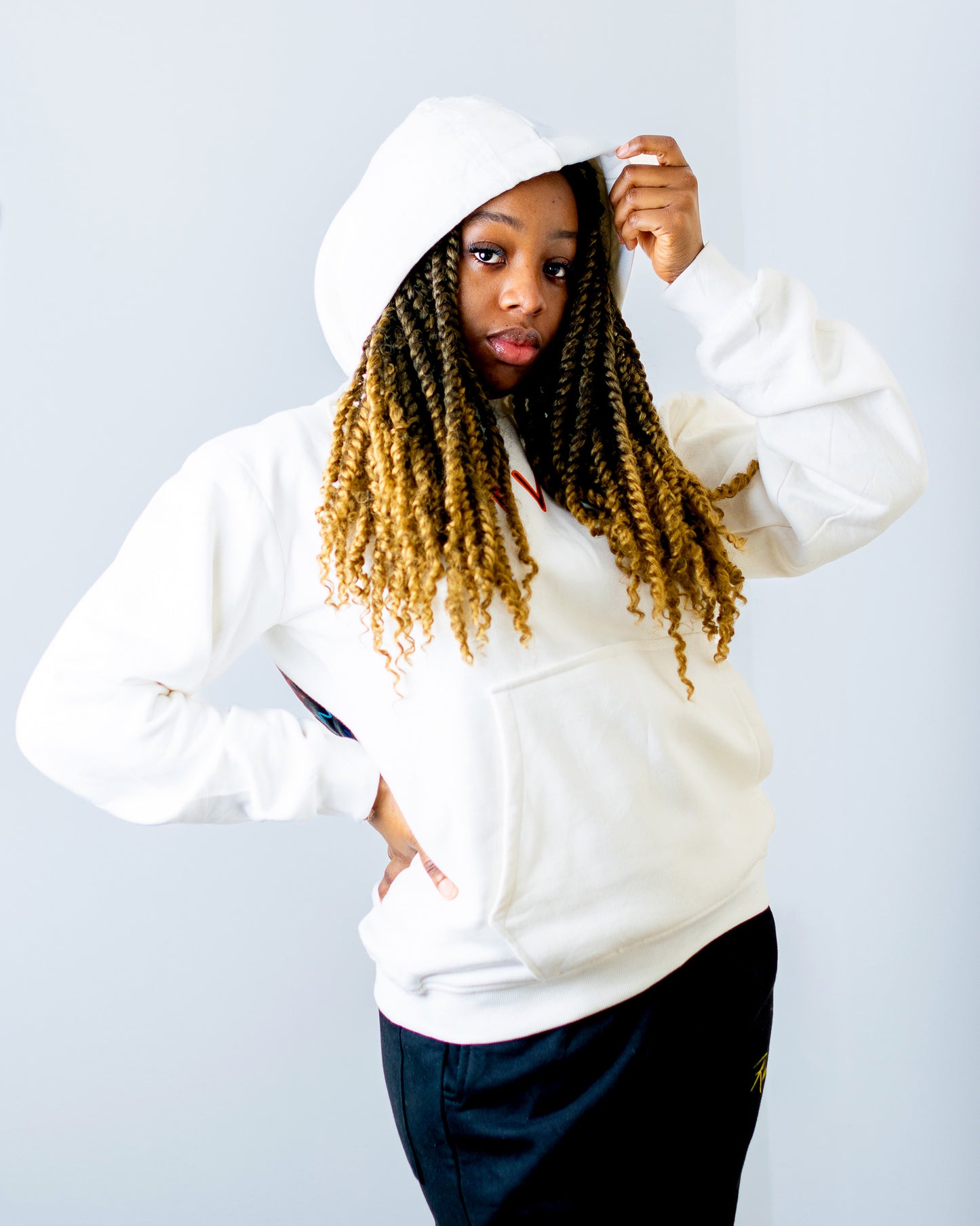 Ravina fashions Unisex Hoodie