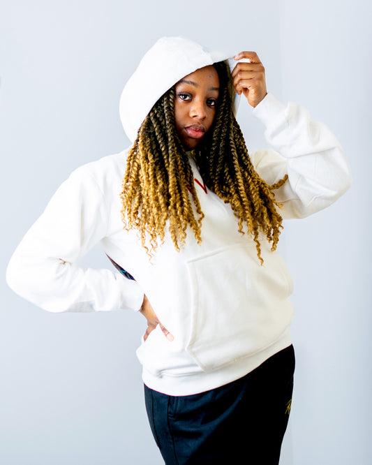 Ravina fashions Unisex Hoodie